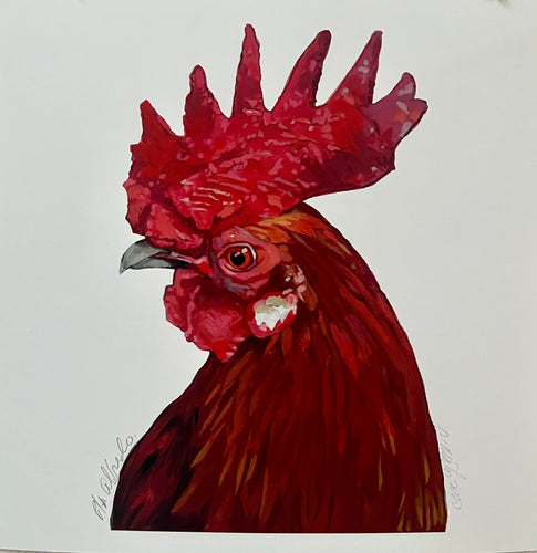 Gallo por Roberto Matos