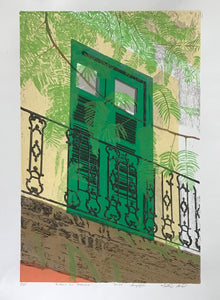 Balcon con Helechos por Martinez Geigel