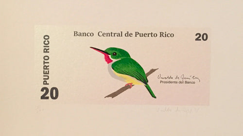 Moneda Nacional por Osvaldo de Jesus