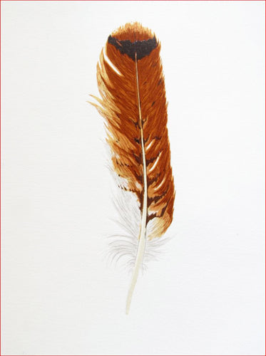 Pluma Roja por Osvaldo de Jesus
