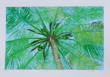 Vision Caribeña por Martinez Geigel